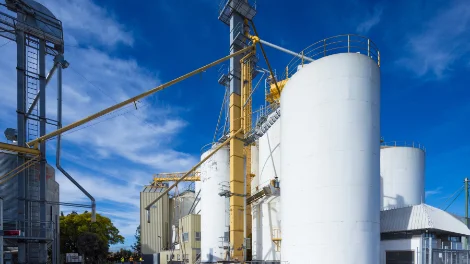 Maize drying_3.jpg