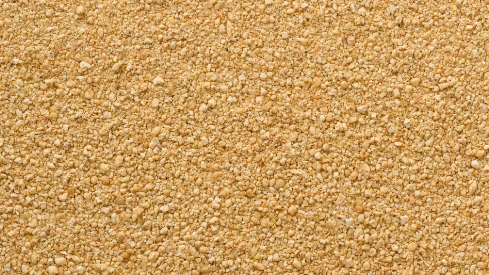 Soybean meal.jpg